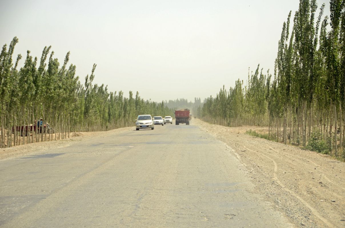 07 Tree Lined Road As The Drive From Kashgar Nears Yarkand